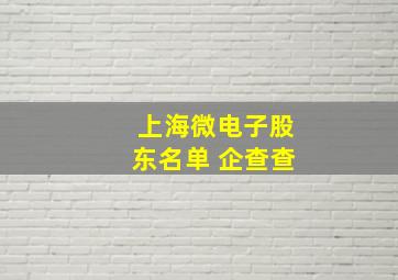 上海微电子股东名单 企查查